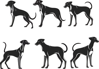 Fototapeta premium Six stylized black dog silhouettes showcasing various poses and expressions.