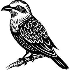 sketch of a bird