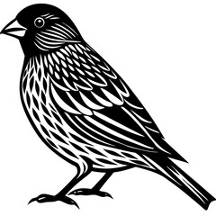 vector illustration of a bird