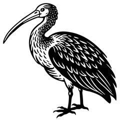vector illustration of a bird