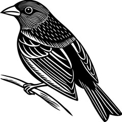 bird on a branch