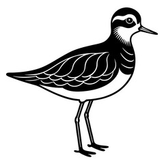 vector illustration of a bird