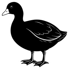 duck vector illustration