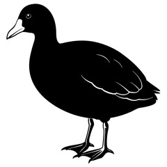 illustration of a duck