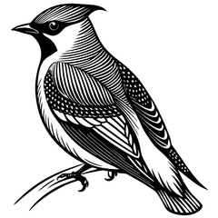 vector illustration of a bird