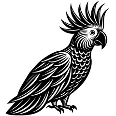 black and yellow macaw