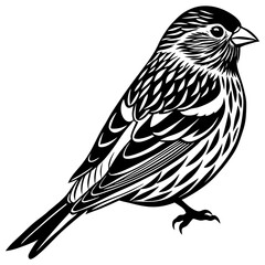 sketch of a bird