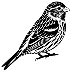 bird on a branch