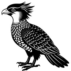 eagle on a white background