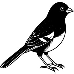 crow on a branch