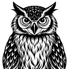 owl isolated on white background
