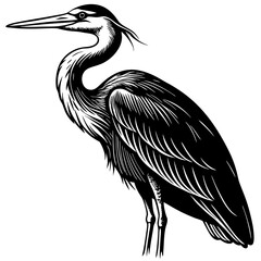 Obraz premium heron on a white background