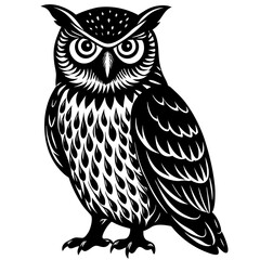 owl on white background