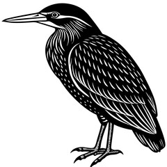 heron silhouette isolated on white