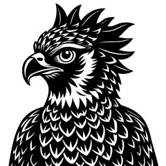 black and white rooster