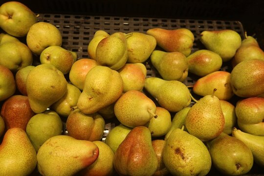 juicy green pears in the market. Pears are fruits produced and consumed around the world, growing on a tree and are harvested in late summer into mid-autumn. juicy green pears in the market