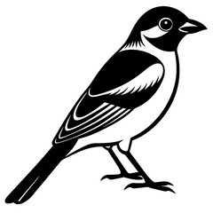 bird on a branch