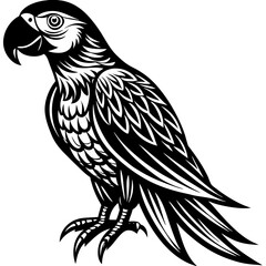 vector illustration of an owl