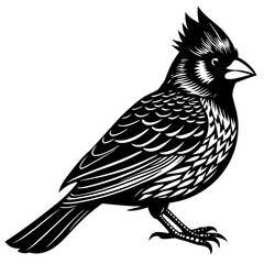 bird on a branch