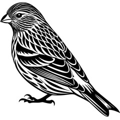 sketch of a bird