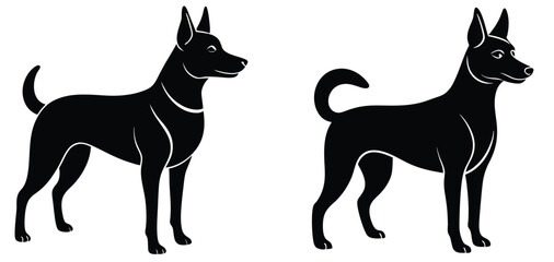 Austrlian kilpas vector