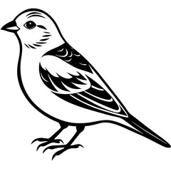 vector illustration of a bird