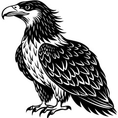 eagle on white background