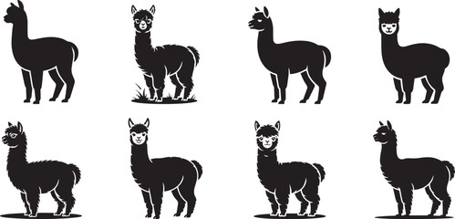 Adorable alpaca silhouettes collection farm animals. eps-10
