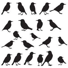 Set of silhouettes of flying birds in a flat style on a white background. Elegant vector bird logo. 