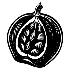 vector illustration of a cat