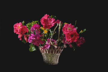 Einzel Blüten vor dunklem Hintergrund im Innenraum