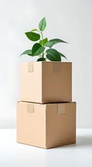 Green plant sprouting from stacked cardboard boxes