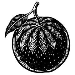 vector illustration of a pumpkin