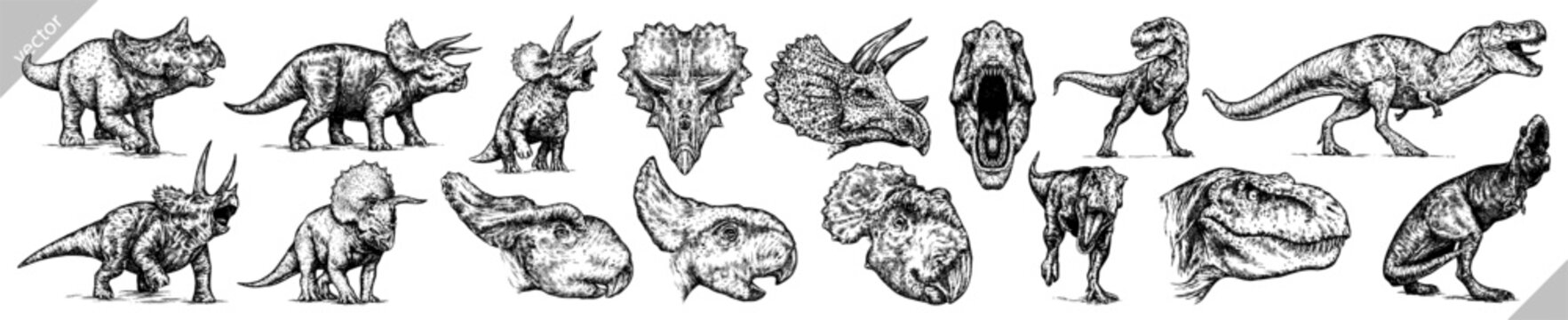 Vintage engraving isolated Triceratops set illustration reptile ink sketch. Dinosaur background silhouette Jurassic art. Black and white hand drawn vector image