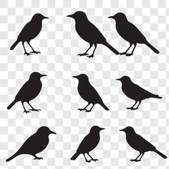 Set Of Bird Vector Bundle. black bird silhouettes. Vector logo birds in flight, bird icon, flying birds silhouette, vector bird illustration, avian symbol. flying birds with spread wings.