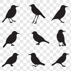 Set Of Bird Vector Bundle. black bird silhouettes. Vector logo birds in flight, bird icon, flying birds silhouette, vector bird illustration, avian symbol. flying birds with spread wings.