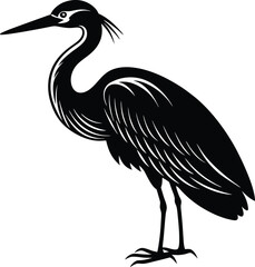 Heron Illustration
