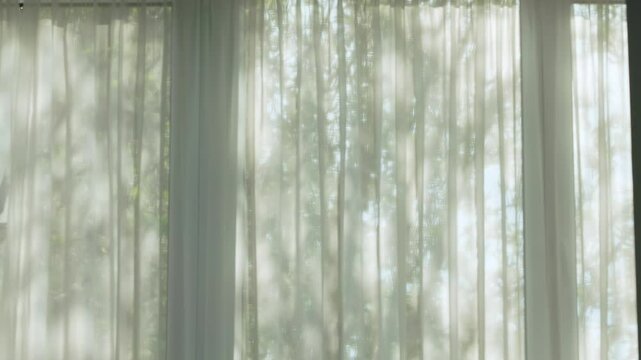Translucent curtains gently diffuse soft light, thus creating a welcoming and inviting atmosphere throughout the room