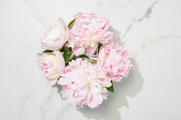 Flower composition. Pink peony flowers on white marble background. Flat lay. Top view with copy space. Mothers day or wedding background. Festive concept. Mockup.