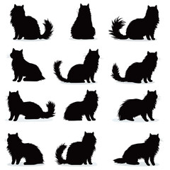Obraz premium Collection of black cat silhouettes in various poses on a white background.