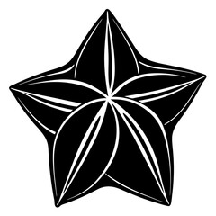 Fototapeta premium star, flower, vector, design, illustration, decoration, christmas, symbol, nature, leaf, floral, icon, art, shape, ornament, sign, plant, paper, green, element, shiny, leaves, silver, object