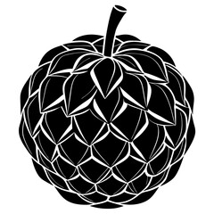 apple isolated on white background