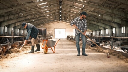 Attractive Caucasian farmers cleaning goatshed. Handsome men wearing cap, boots and work uniform. Hardworking people with broom and shovel sweeping floor, raking up dirty hay while goats eating food. © VAKSMANV