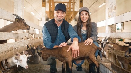 Good-looking Caucasian workers sitting, hugging or stroking cute brown goat in barn. Behind them...