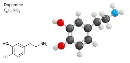 Molecule: Dopamine (DA). 3D model of a hormone. Neurotransmitter. Molecular formula: C8H11NO2. Chemical model: Ball and Stick. Transparent background. 3D illustration