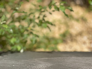 A blurred background with green foliage and a soft, natural setting. 