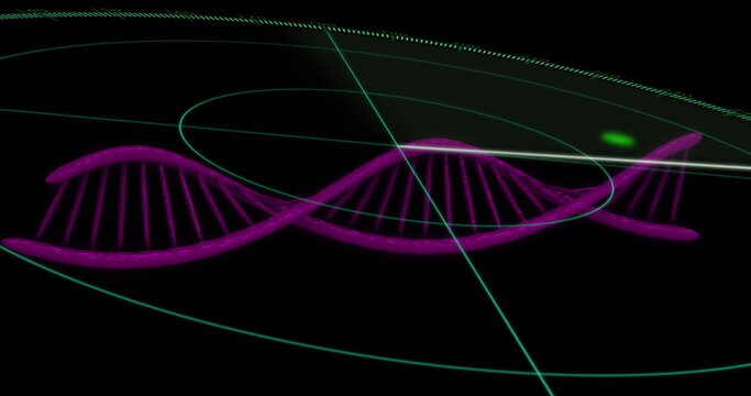 Displaying neon purple DNA helix spinning in digital interface, with green arcs and grid lines - Powered by Adobe