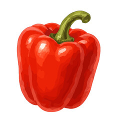 Red Bell Pepper Whole Vegetable Vector