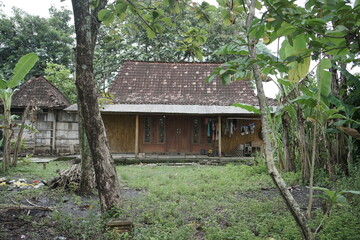 Serene Tropical House nestled in Lush Greenery A Peaceful Retreat