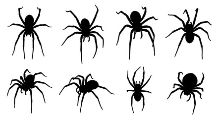 Set of spider silhouettes, isolated vector illustration on a white or transparent background